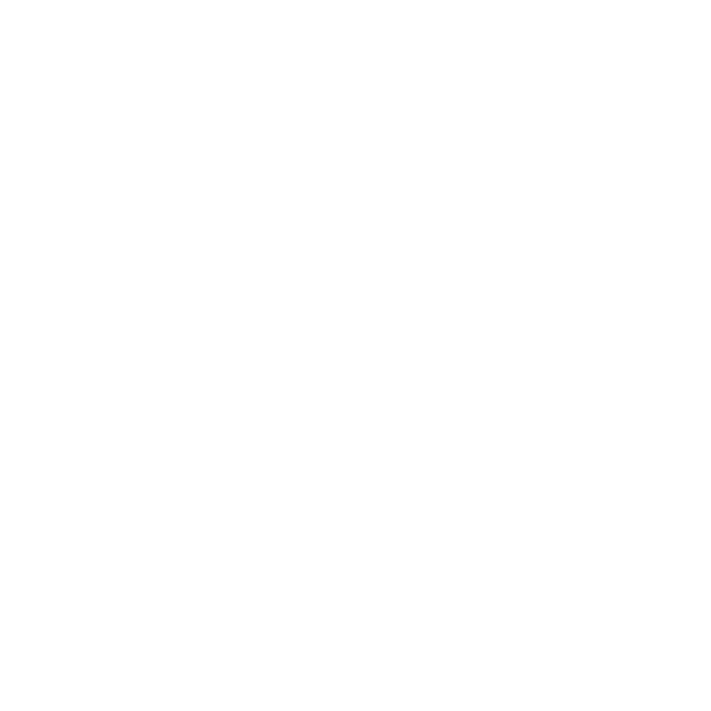 Bern 96